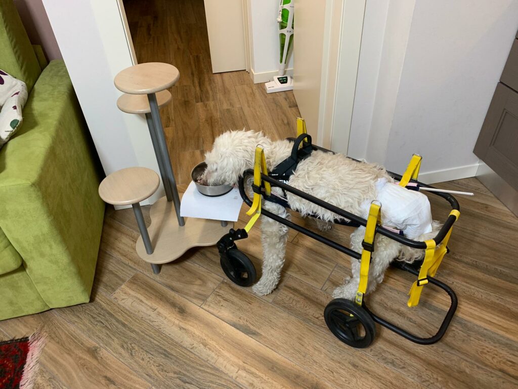 IMG 20190614 WA0002